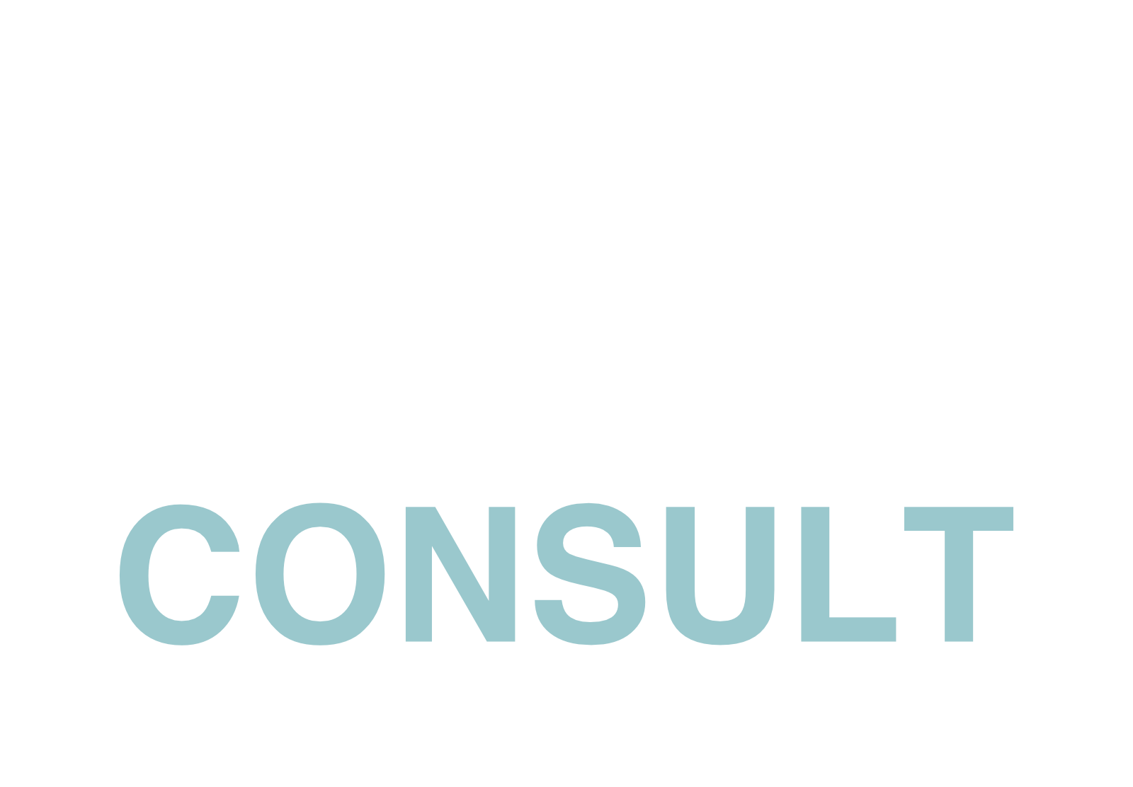 TDS Consult